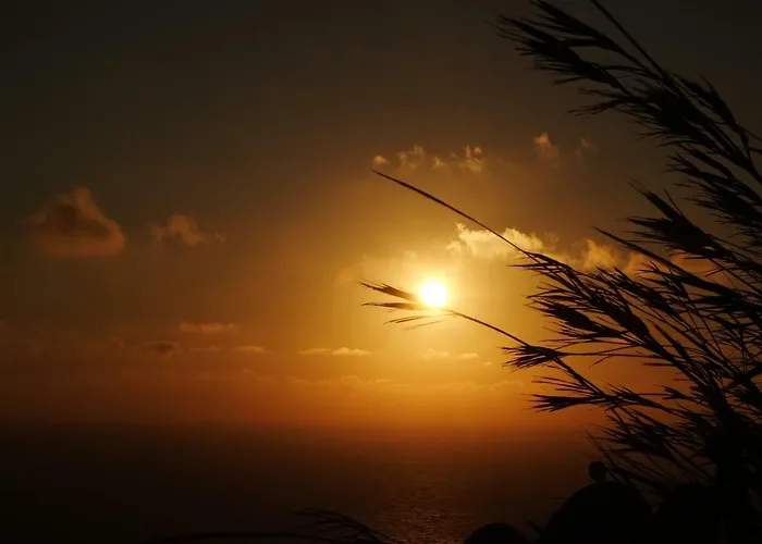 Dammuso Il Sogno 스카우리